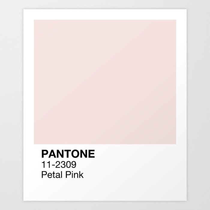 pantone pinks