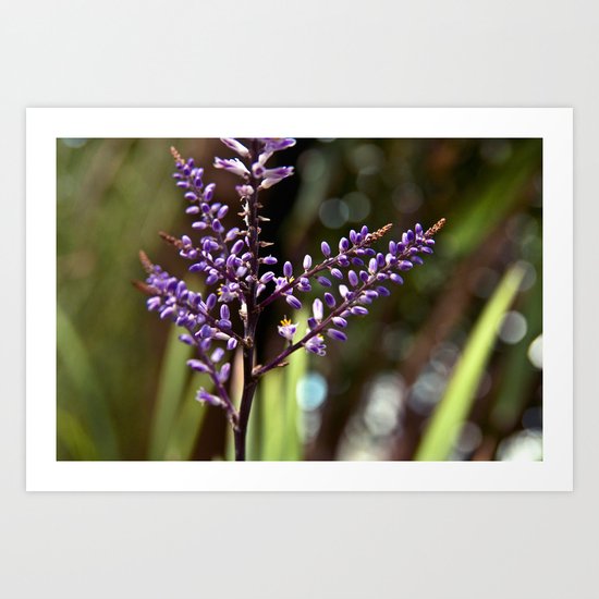 Botanical Dream of Spring Art Print