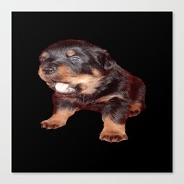 Rottweiler Puppy with Shocked Open Mouth Expression  Canvas Print