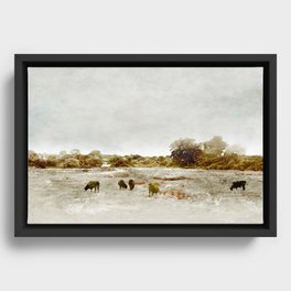 Cows By The Sea Framed Canvas