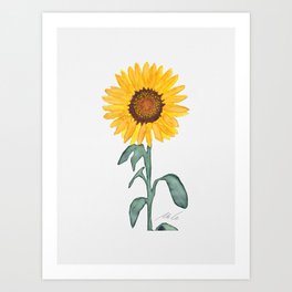 Sunflower_03 Art Print