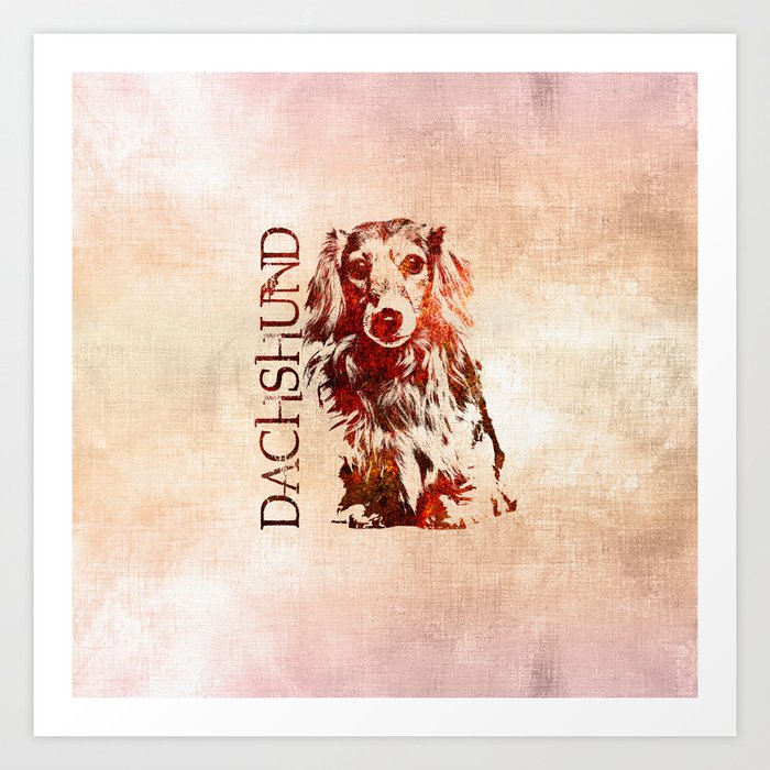 Dachshund dog - Doxie Art Print by 