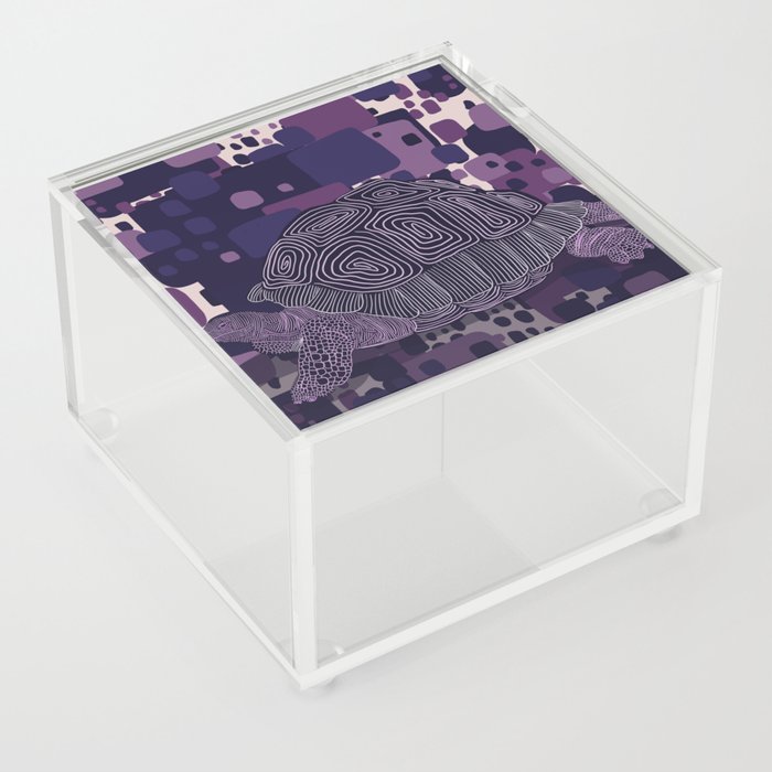 Tortoise Acrylic Box
