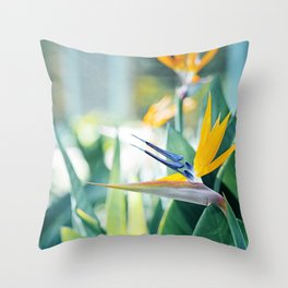 Bird of Paradise Photography, Green Orange Aqua Blue, Tropical Flower Nature Botanical Throw Pillow