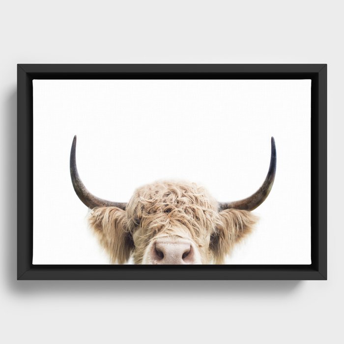 Peeking Highland Cow Framed Canvas