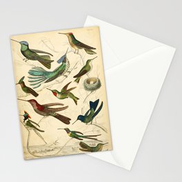 Hummingbirds from The Edinburgh Journal, 1835 (benefitting The Nature Conservancy) Stationery Cards