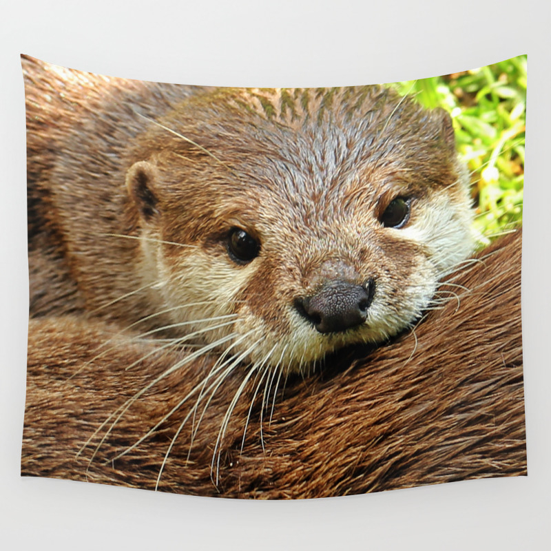 Brown Baby Otter Wall Tapestry By Lazarina Society6