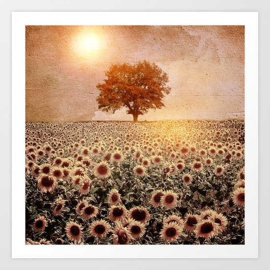 lone tree & sunflowers field (colour option) Art Print