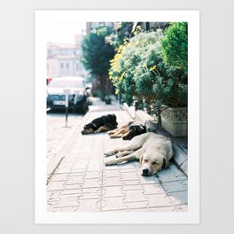 Istanbul Turkey Art Prints For Any Decor Style Society6