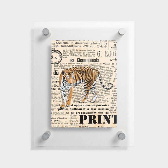 Tiger On Vintage News Paper Floating Acrylic Print