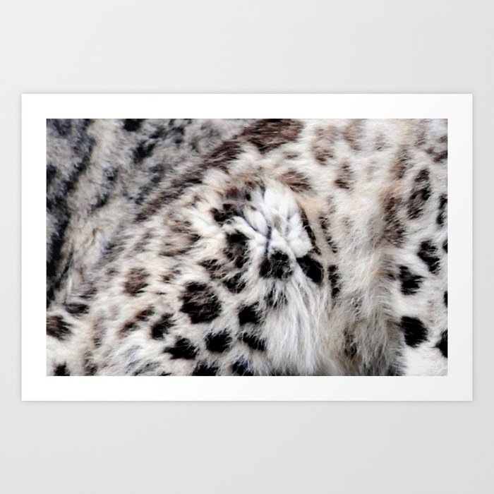 Snow Leopard Art Print