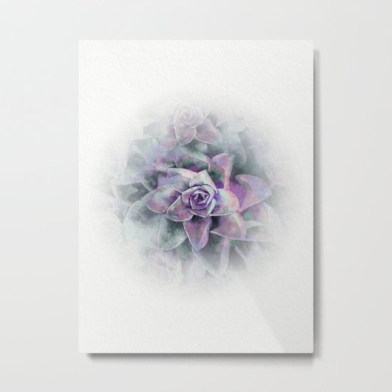 Succulents Metal Print