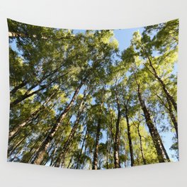 Spring Birch Tree Canopy in the Scottish Highlands Wall Tapestry