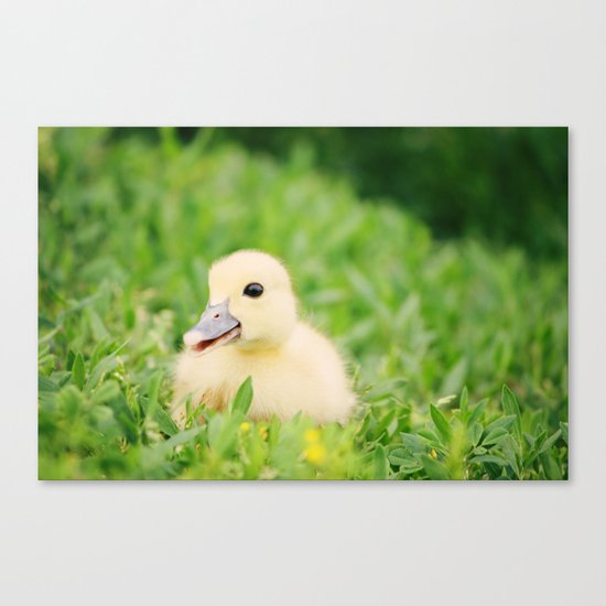 Happy-Go-Ducky Canvas Print