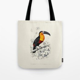 Vintage Toucan Tote Bag
