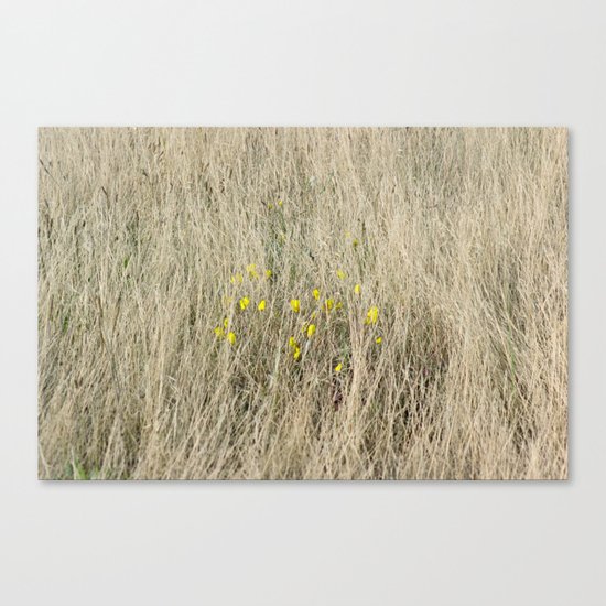 signs of life Canvas Print