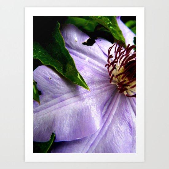 Raindrops on Roses Art Print