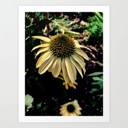 Home & Garden Art Print