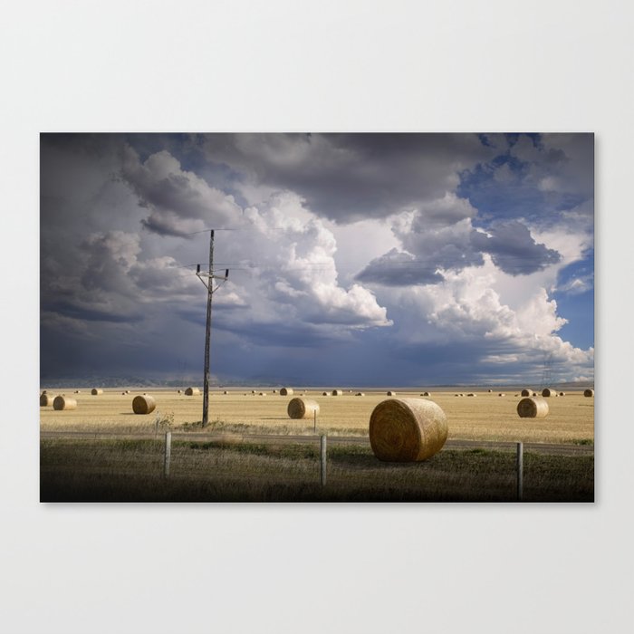 Summer Hay Bale Harvest in Late Afternoon Canvas Print