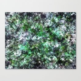 Granite moss and ice Canvas Print