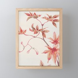 Branch of Momiji Maple Tree Framed Mini Art Print