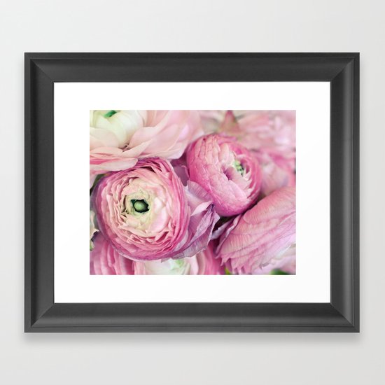 Pink Ranunculus Framed Art Print