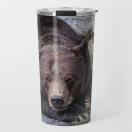 Big brown bear relaxing in the sun - nature - animal - photography Travel Mug