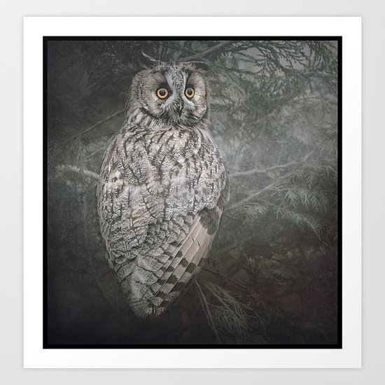 The Watcher In The Mist Art Print