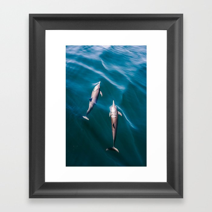 Dolphins II Framed Art Print