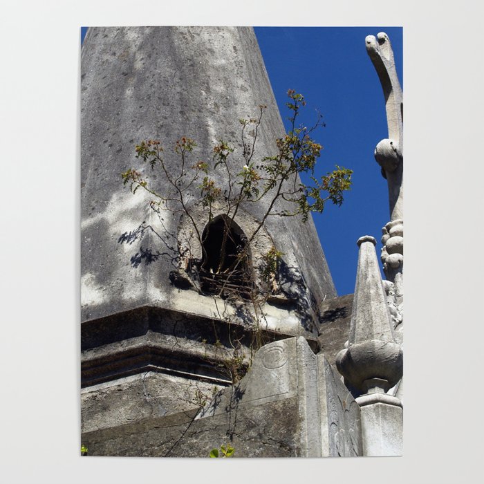 Argentina Photography - Old Church Overgrown By Plants Poster