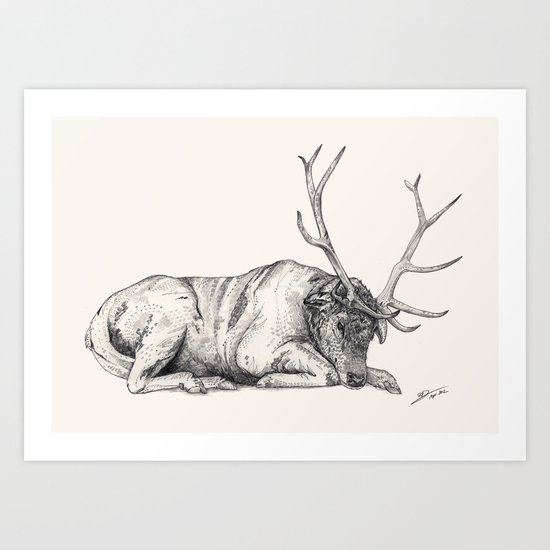 Stag // Graphite Art Print