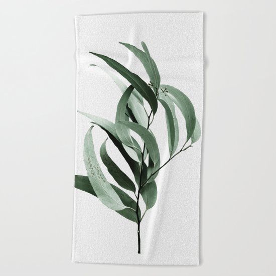 Eucalyptus - Australian gum tree Beach Towel