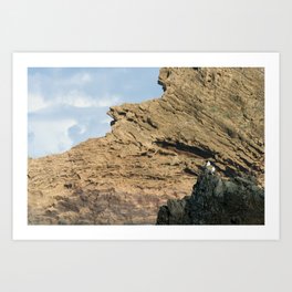 Two seagulls on a rock Art Print | Travel, Digital, Photo, Sea, Ocean, Seagulls, Madeira, Island, Portugal, Europe 
