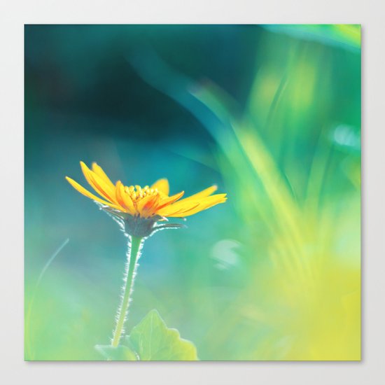 Daydreaming Canvas Print