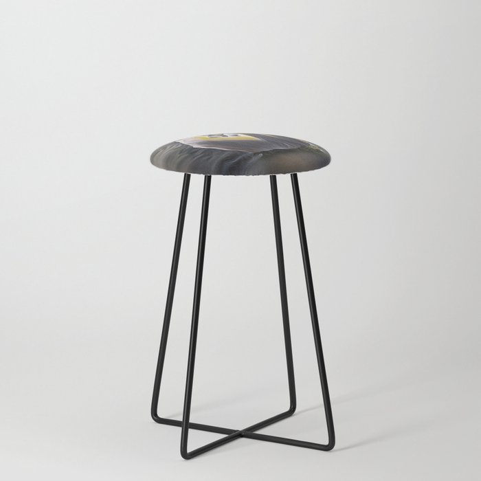 Steel Swan Graphic Counter Stool