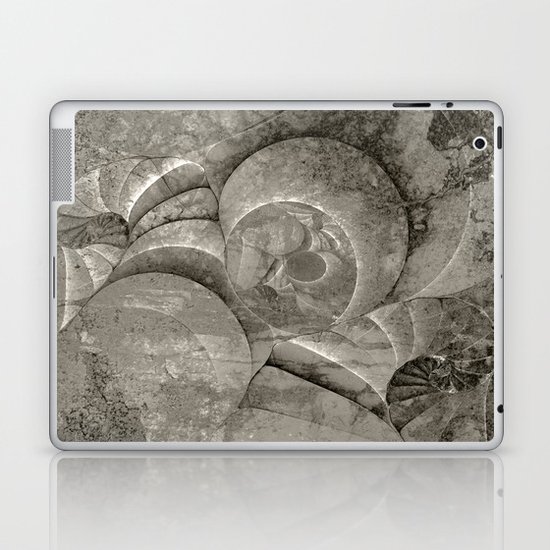 Fossilized Shells - Black & White Laptop & iPad Skin