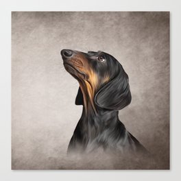 Drawing Dog breed dachshund 5 Canvas Print