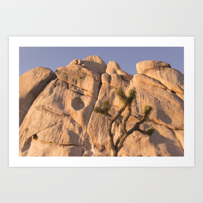 Joshua Tree No. 2 Art Print