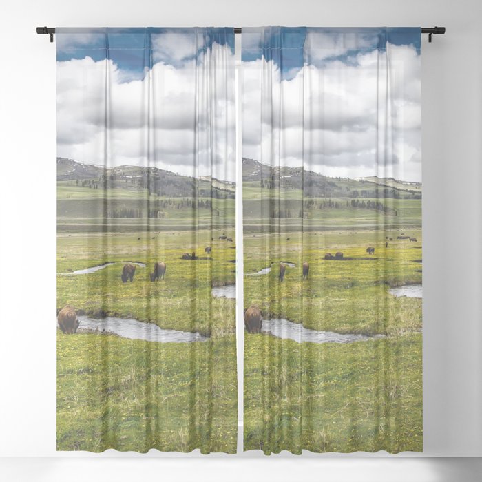 Yellowstone, Home on the range, American buffalo / bison grazing in spring fields of green river prairie landscape color photograph / photography Sheer Curtain