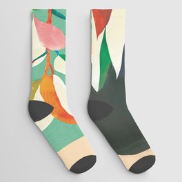 Fiscus Color 03 Socks