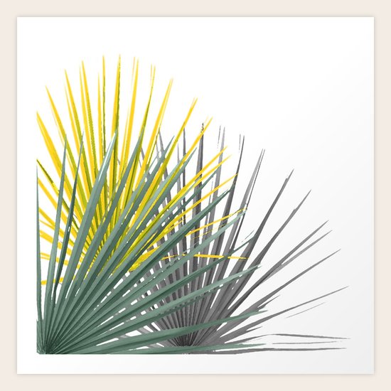 Palmas Art Print
