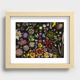 Flowers of Plants Native to Manitoba, Canada Recessed Framed Print