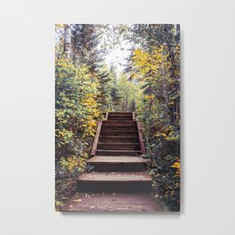 Forest in the Fall | Photography in Minnesota Metal Print | Curated, Forest, Wanderlust, Leaves, Fall, Stairs, Hiking, Travel, Landscape, Photo 