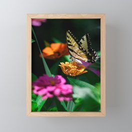 Beautiful Butterfly Framed Mini Art Print