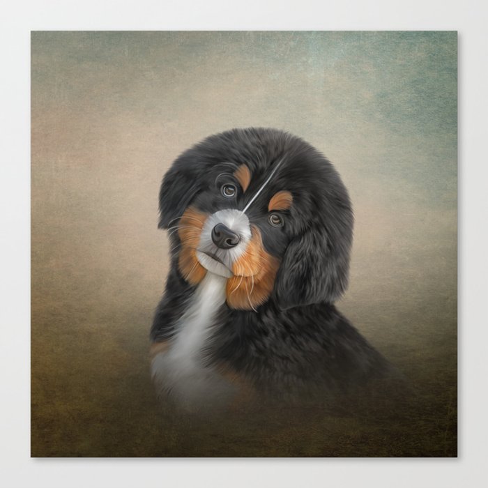 Drawing puppy Bernese Mountain Dog 2 Canvas Print