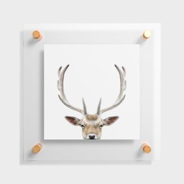 Deer Head Floating Acrylic Print