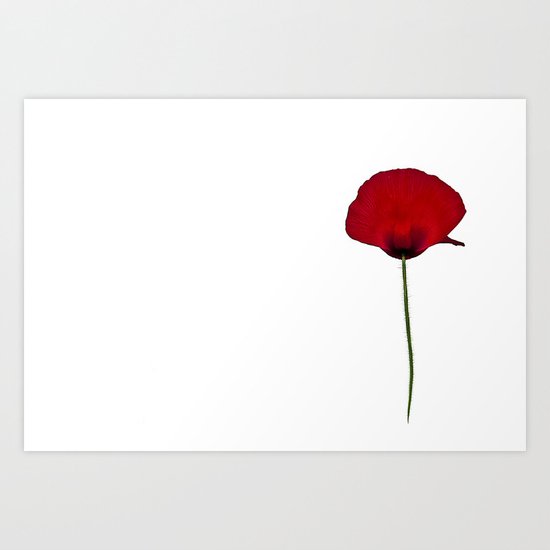 Flower Art Print