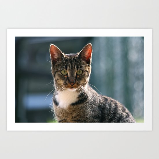 Cat Art Print