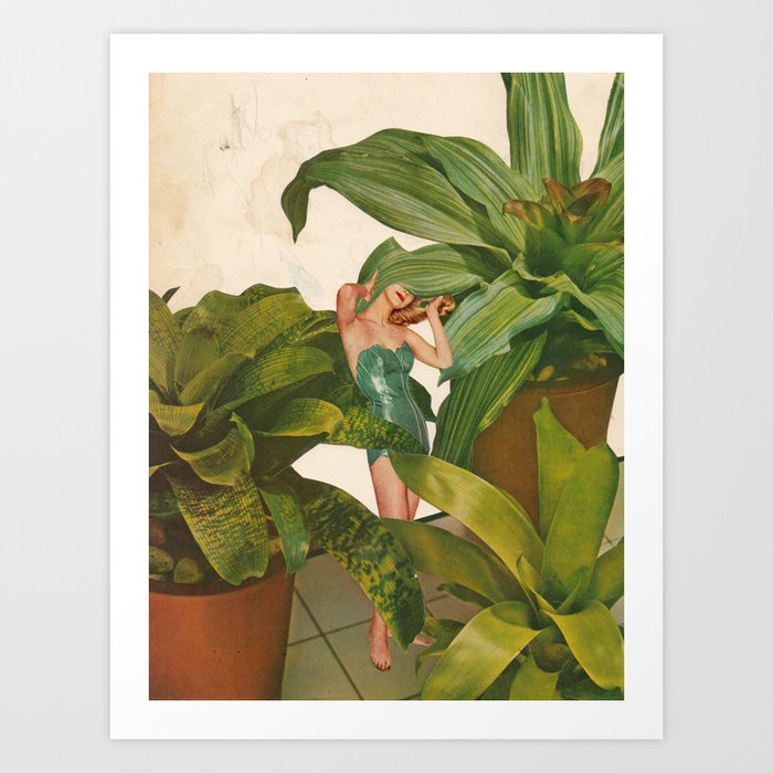 Discover the motif FOLIAGE by Beth Hoeckel as a print at TOPPOSTER