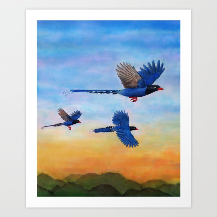 Taiwan Blue Magpies (2) Art Print